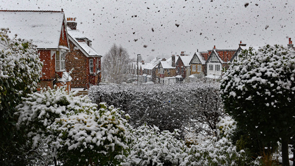 Shearing Enterprises - Anthony Lanes Blog