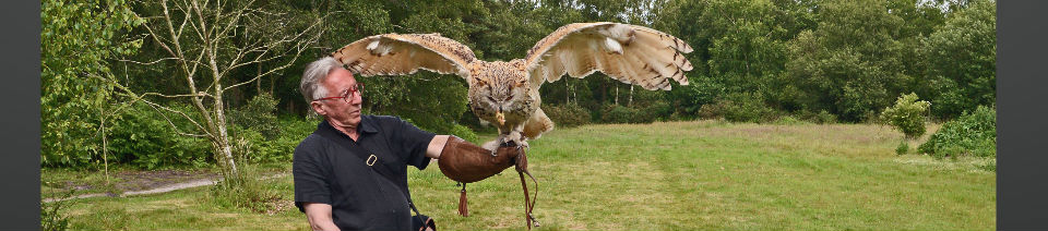 Shearing Enterprises - Anthony Lanes Blog