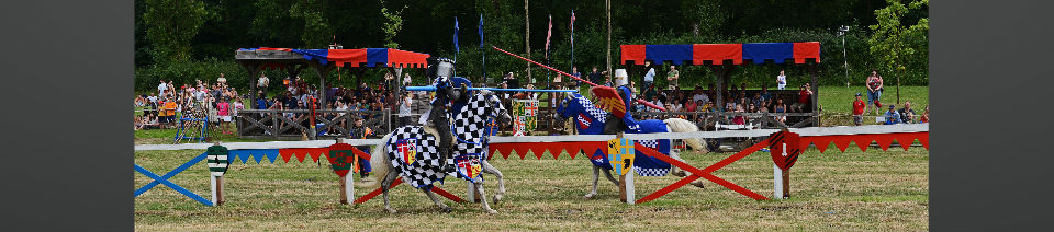 Shearing Enterprises - Anthony Lanes Blog