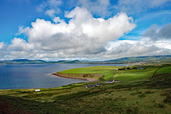 Shearing Enterprises - Anthony Lanes Blog