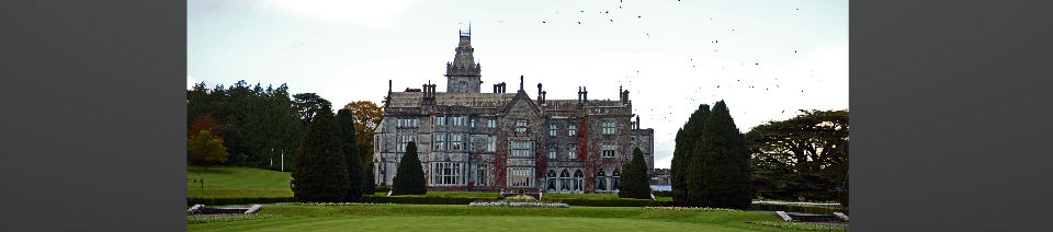 Shearing Enterprises - Anthony Lanes Blog