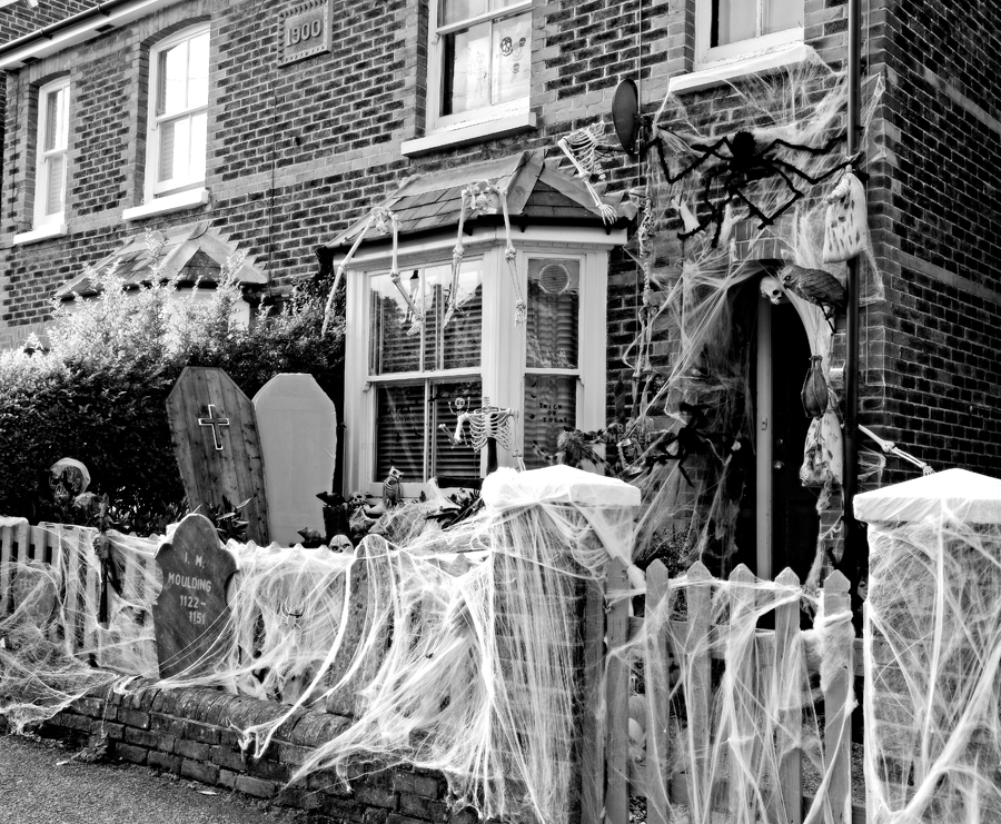 Shearing Enterprises - Anthony Lanes Blog