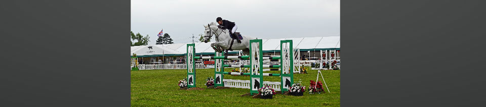 Shearing Enterprises - Anthony Lanes Blog