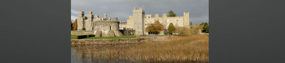 Shearing Enterprises - Anthony Lanes Blog