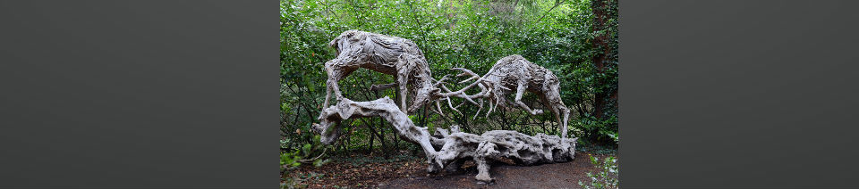 Shearing Enterprises - Anthony Lanes Blog