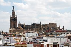 Seville_La_Giralda_Cathedral.jpg