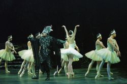 Swan_Lake_1.jpg