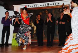 13_Flamenco_Corral_De_La_Moreria_Madrid.jpg
