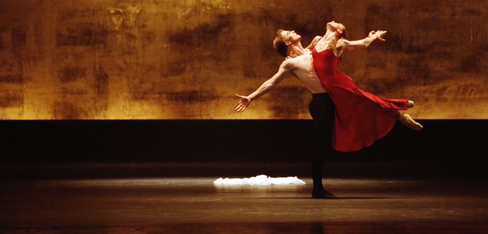 'Protecting the veil' :: Photography by Anthony Lane of Shearing Enterprises. Click on this image to see more of Anthony Lane's Photographic works.