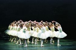 Swan_Lake_5.jpg