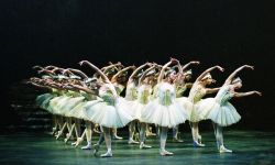 Swan Lake
